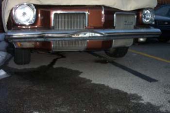 olds06